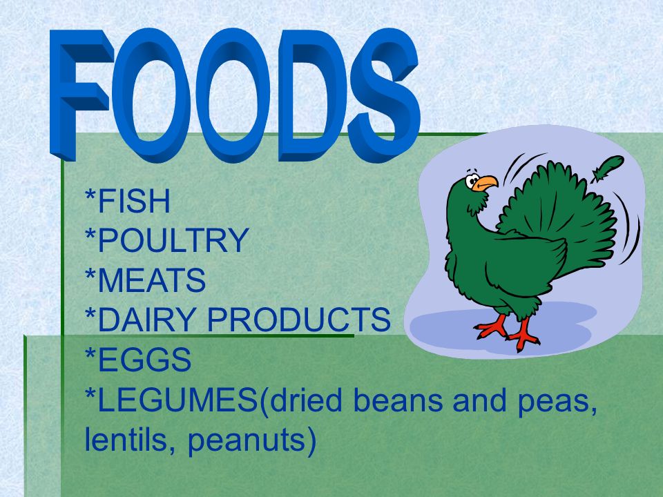 FOODS *FISH *POULTRY *MEATS *DAIRY PRODUCTS *EGGS *LEGUMES(dried beans and peas, lentils, peanuts)