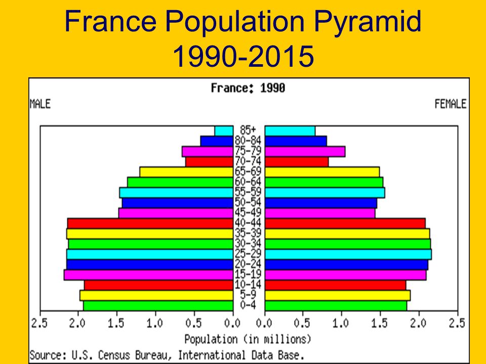 France Population Pyramid