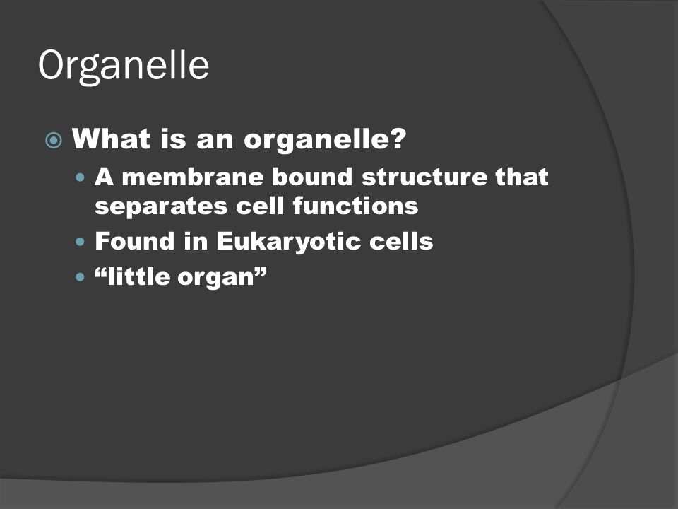 Organelle What is an organelle