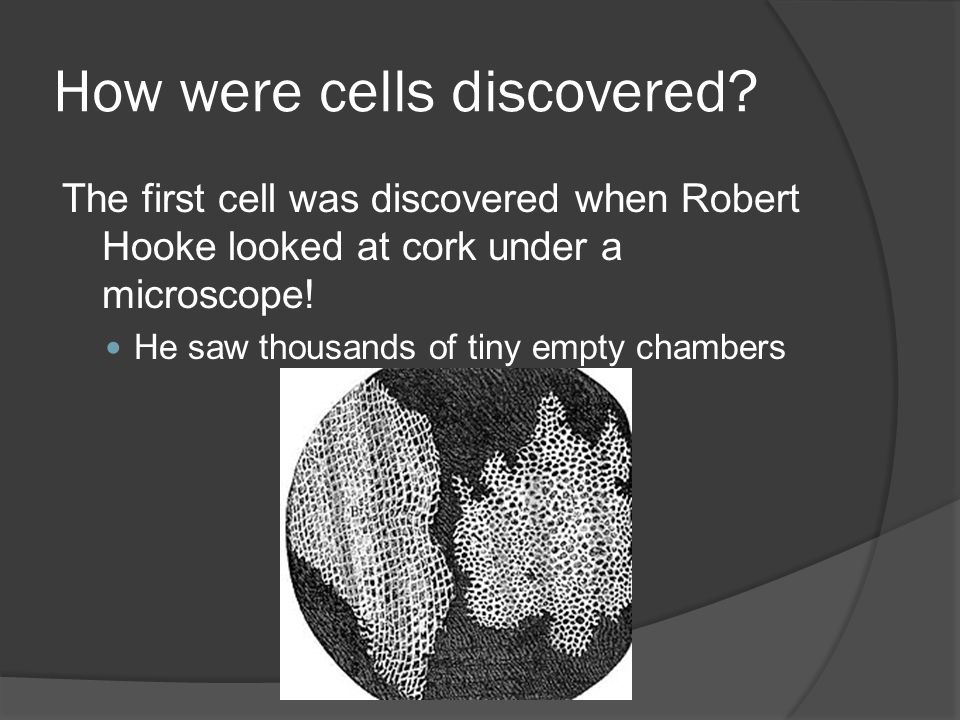 How were cells discovered