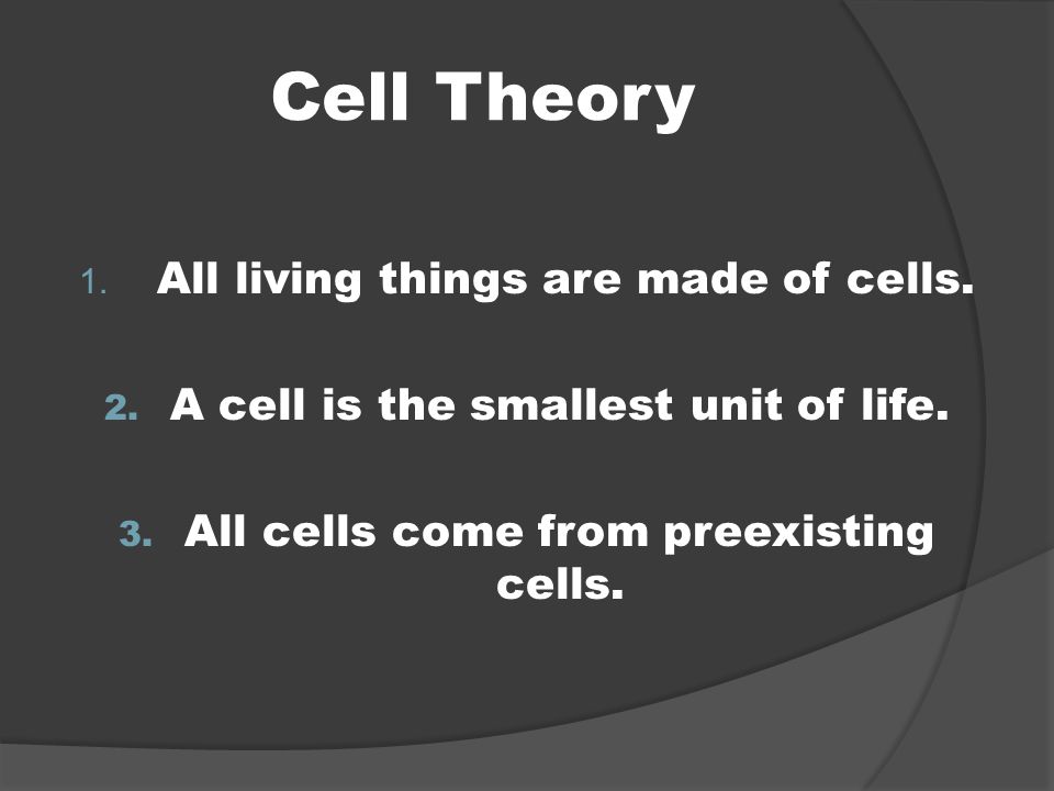 Cell Theory All living things are made of cells.