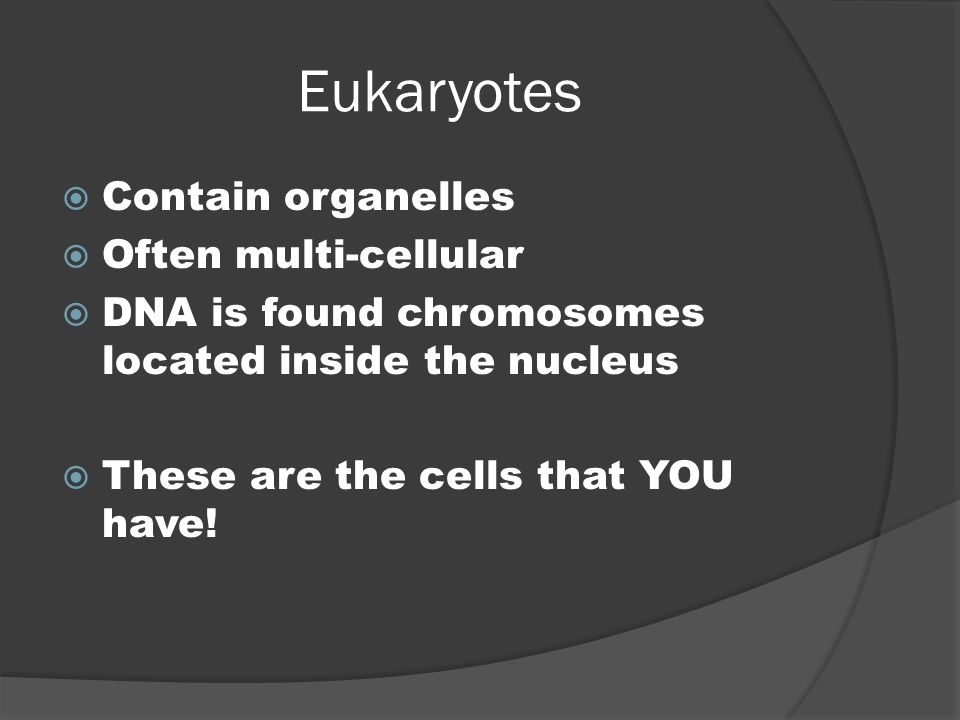 Eukaryotes Contain organelles Often multi-cellular