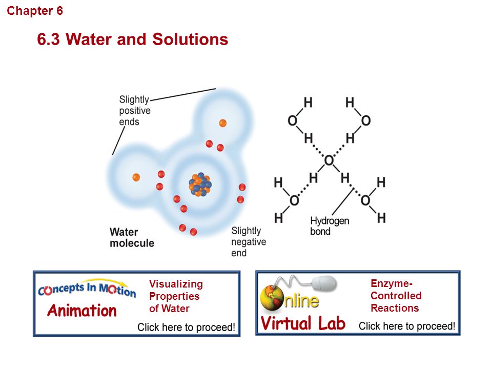 6.3 Water and Solutions Chapter 6 Chemistry in Biology