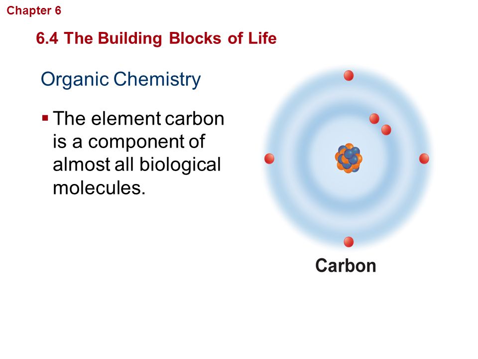 The element carbon is a component of almost all biological molecules.