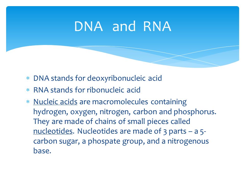 DNA and RNA DNA stands for deoxyribonucleic acid