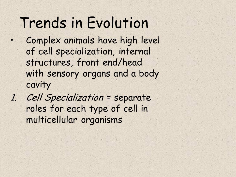 Trends in Evolution Complex animals have high level of cell specialization, internal structures, front end/head with sensory organs and a body cavity.