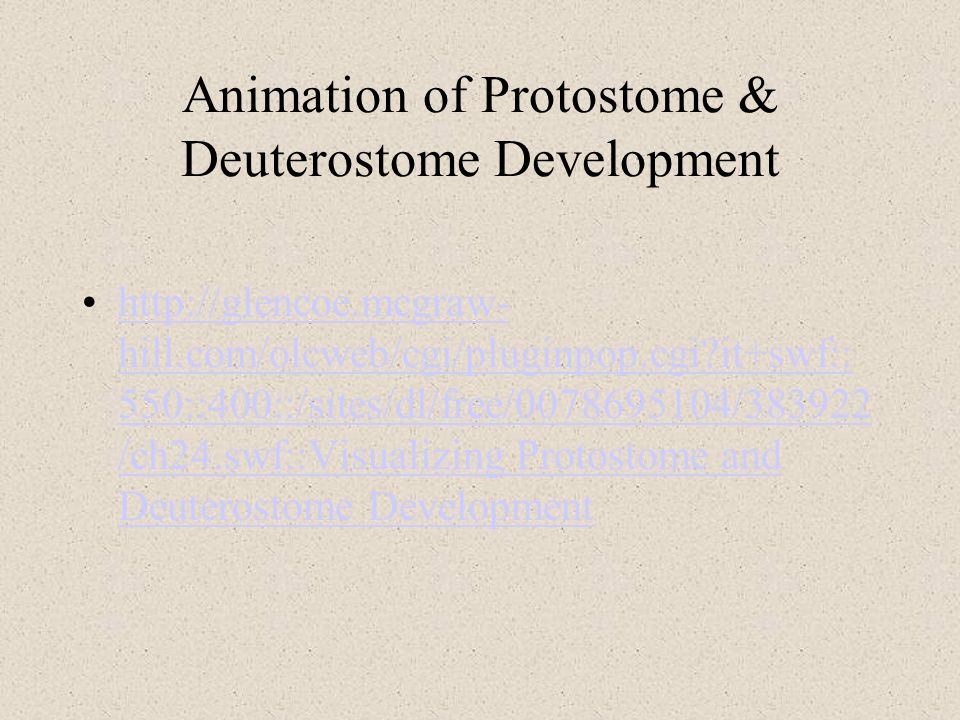 Animation of Protostome & Deuterostome Development