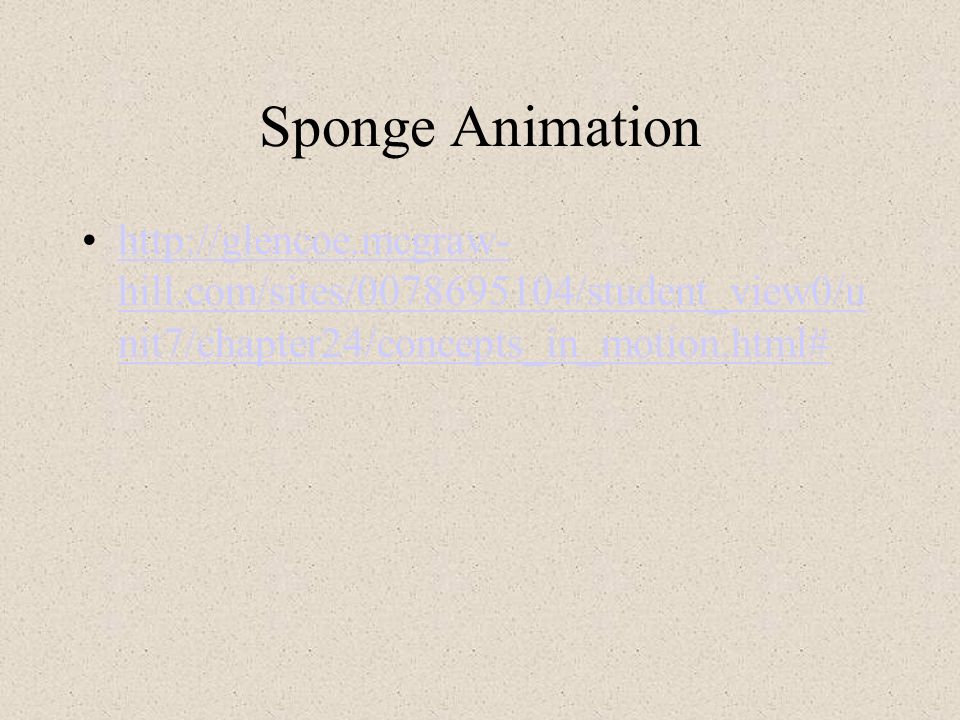 Sponge Animation