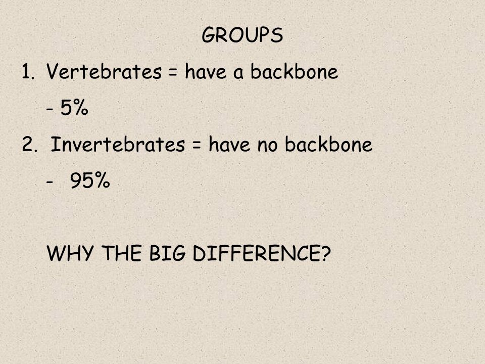 GROUPS Vertebrates = have a backbone. - 5% 2. Invertebrates = have no backbone.