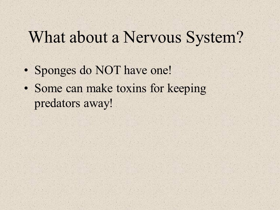 What about a Nervous System