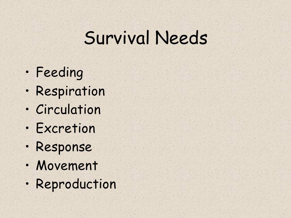 Survival Needs Feeding Respiration Circulation Excretion Response
