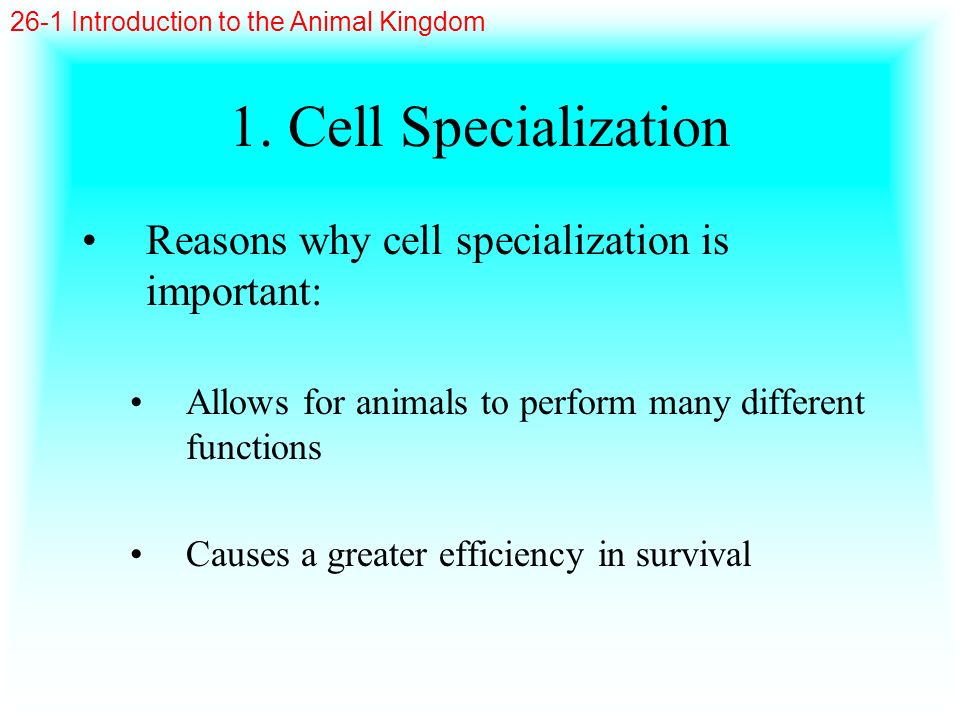 1. Cell Specialization Reasons why cell specialization is important: