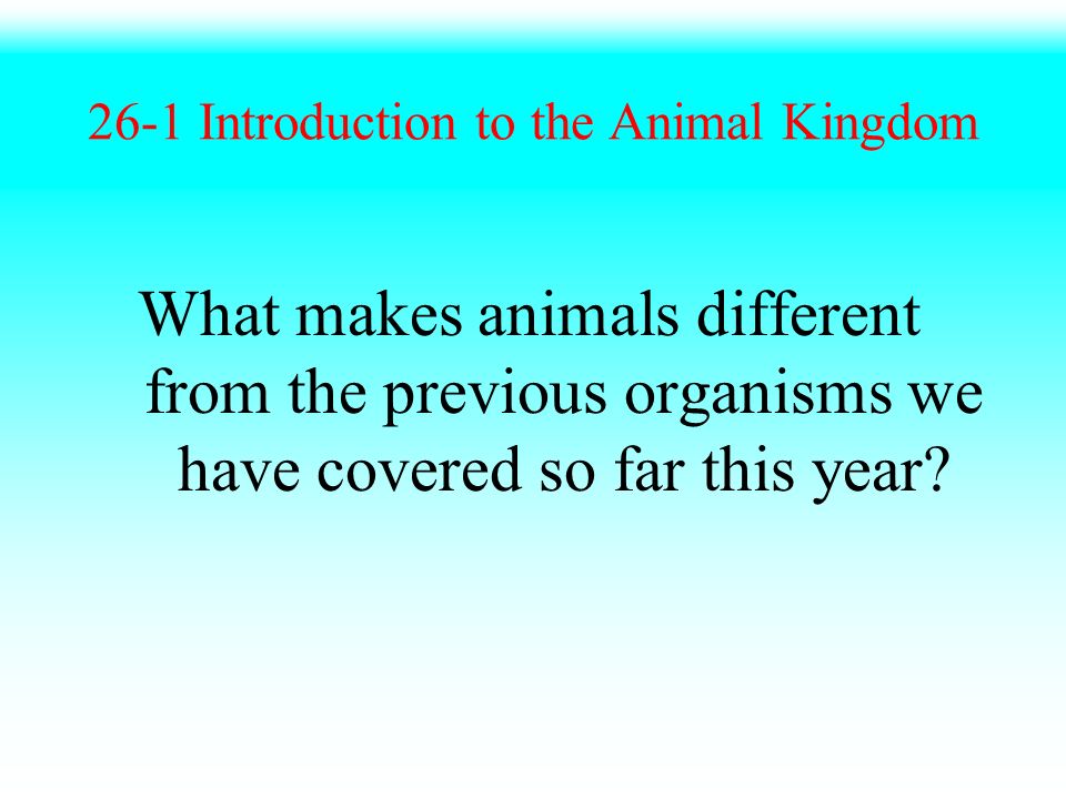 26-1 Introduction to the Animal Kingdom