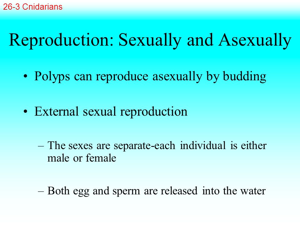 Reproduction: Sexually and Asexually