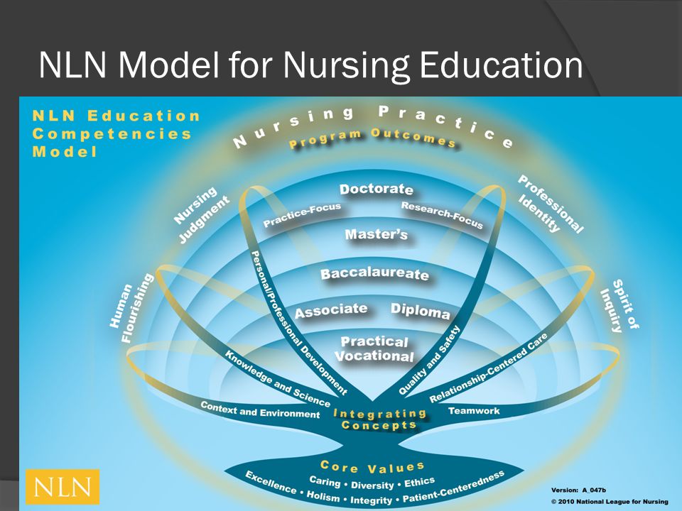 NLN Model for Nursing Education