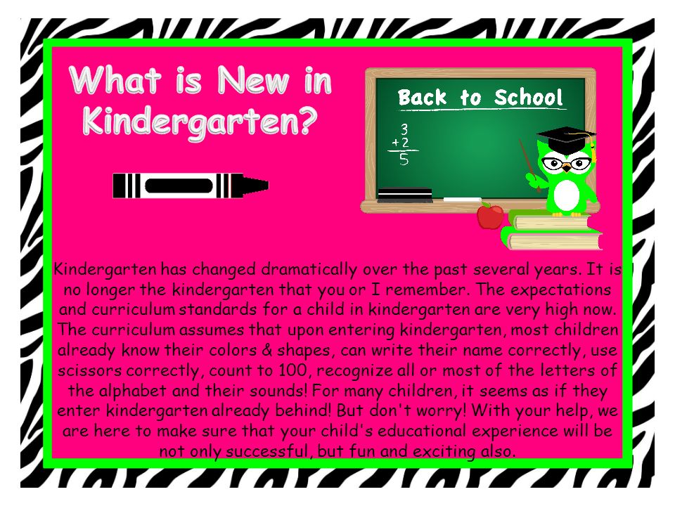 What is New in Kindergarten