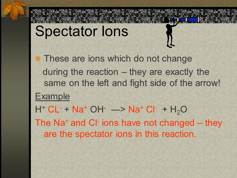 Spectator Ions These are ions which do not change