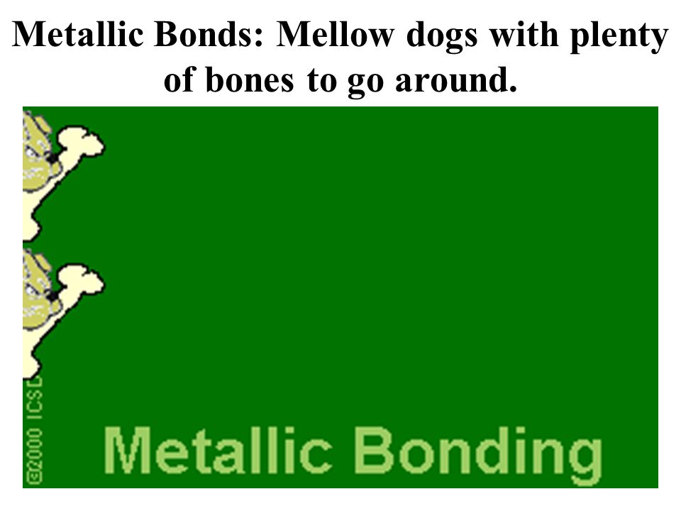 Metallic Bonds: Mellow dogs with plenty of bones to go around.