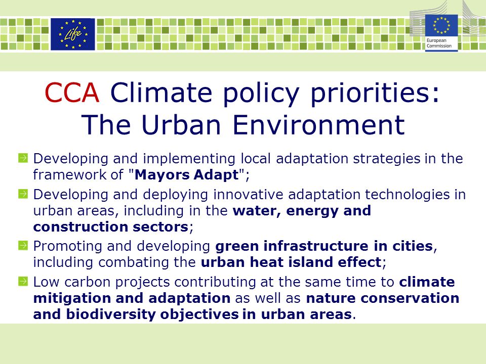 CCA Climate policy priorities: The Urban Environment