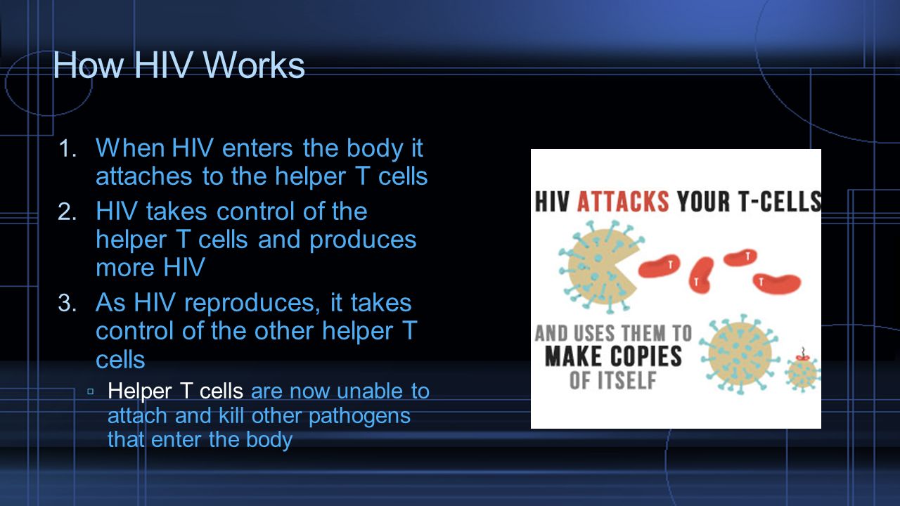 How HIV Works When HIV enters the body it attaches to the helper T cells. HIV takes control of the helper T cells and produces more HIV.