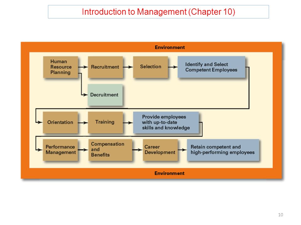 Introduction to Management (Chapter 10)
