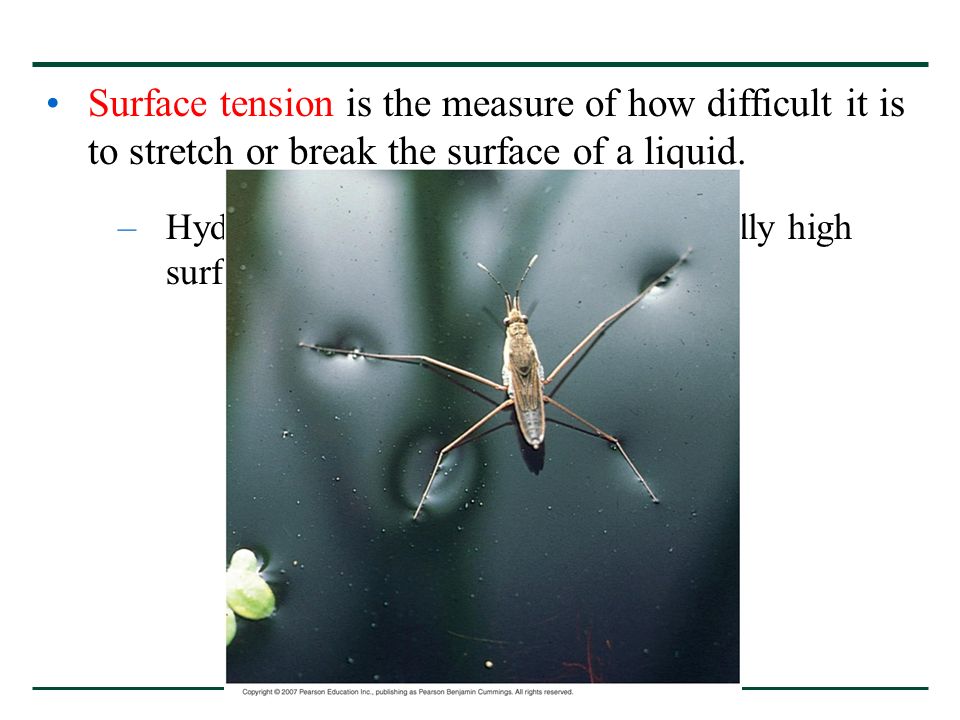 Surface tension is the measure of how difficult it is to stretch or break the surface of a liquid.
