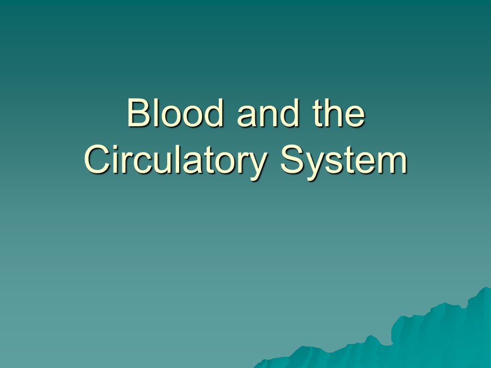 Blood and the Circulatory System