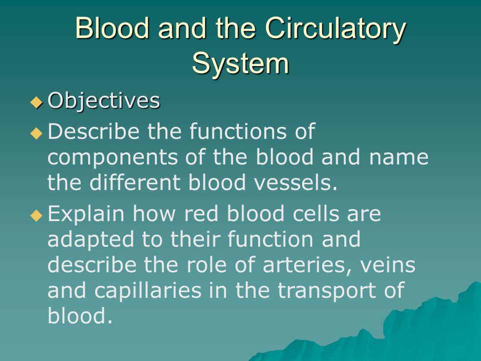 Blood and the Circulatory System