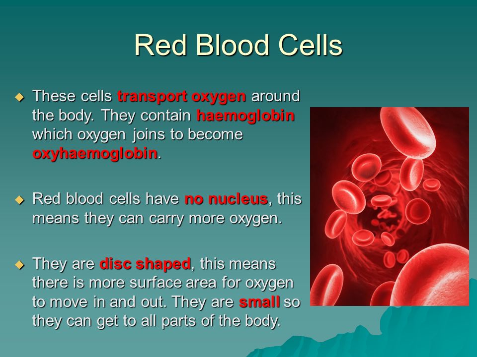Red Blood Cells These cells transport oxygen around the body. They contain haemoglobin which oxygen joins to become oxyhaemoglobin.