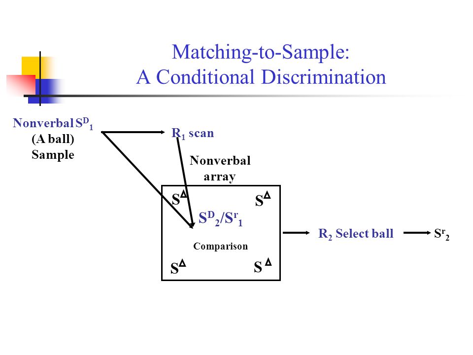 Matching-to-Sample: A Conditional Discrimination