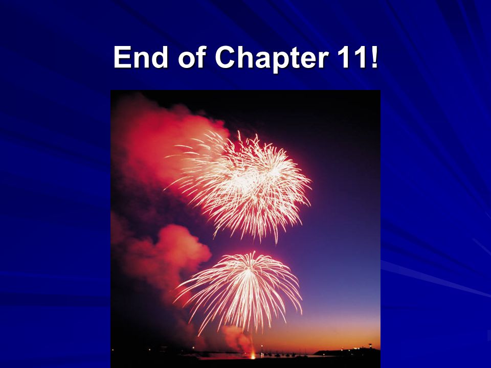 End of Chapter 11!