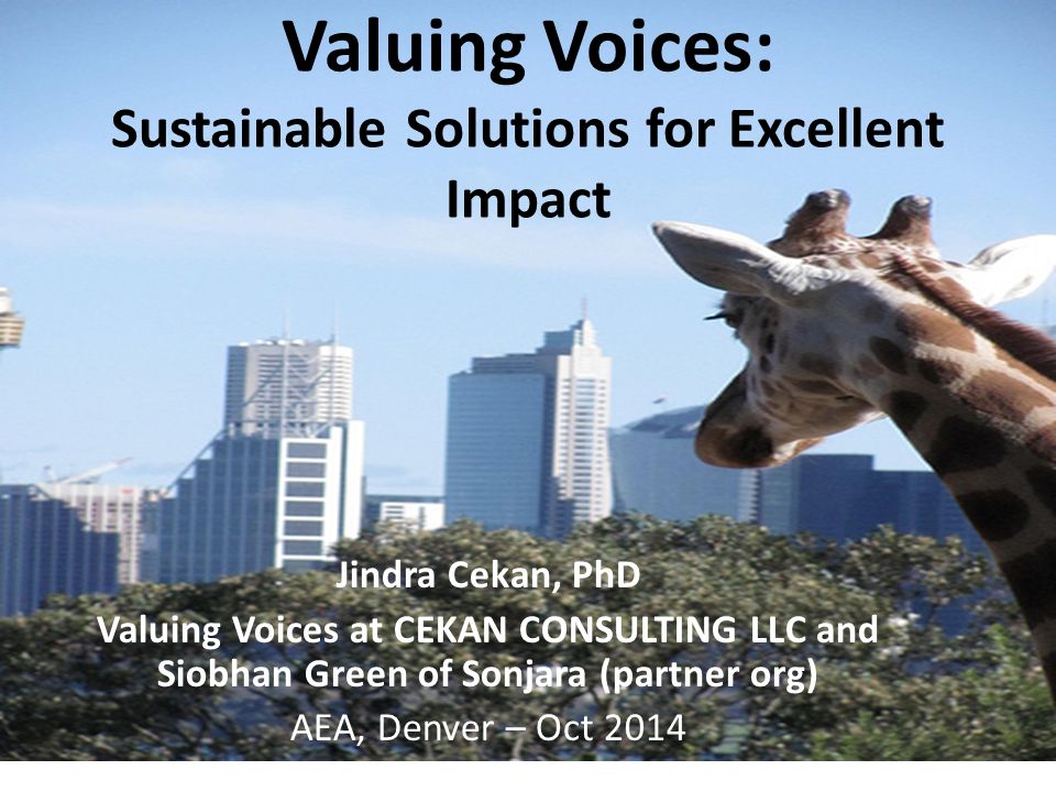 Valuing Voices: Sustainable Solutions for Excellent Impact