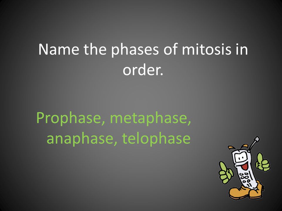 Name the phases of mitosis in order.