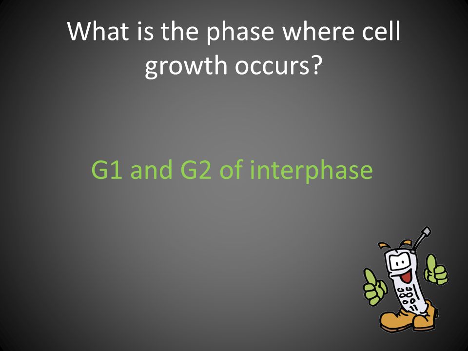 What is the phase where cell growth occurs