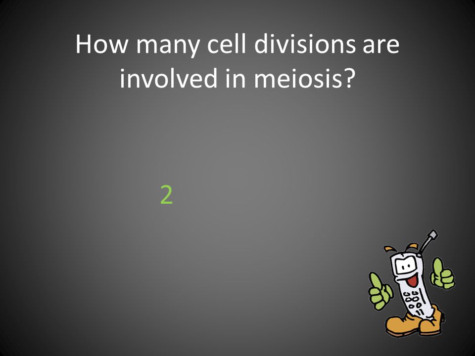 How many cell divisions are involved in meiosis