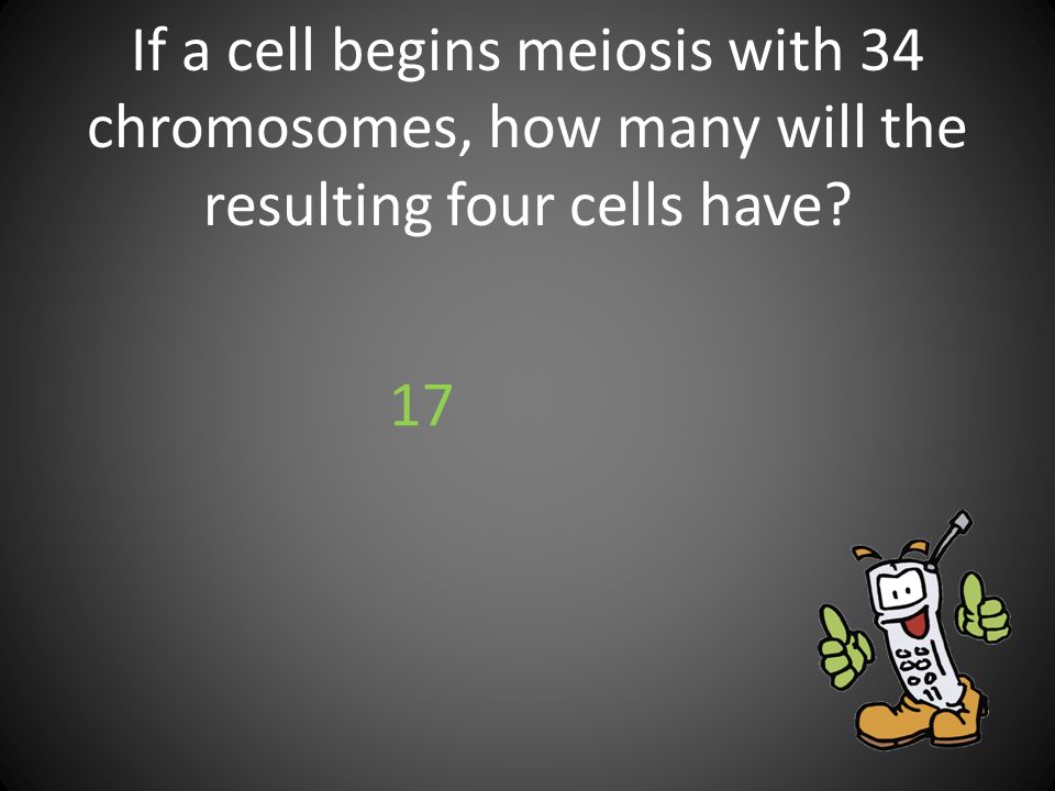 If a cell begins meiosis with 34 chromosomes, how many will the resulting four cells have