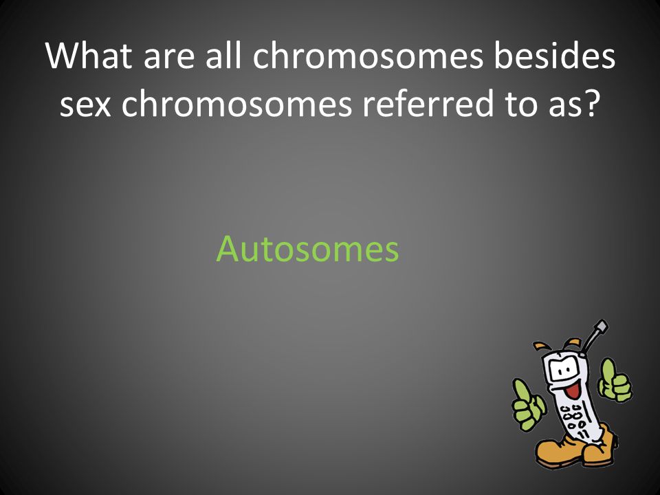 What are all chromosomes besides sex chromosomes referred to as