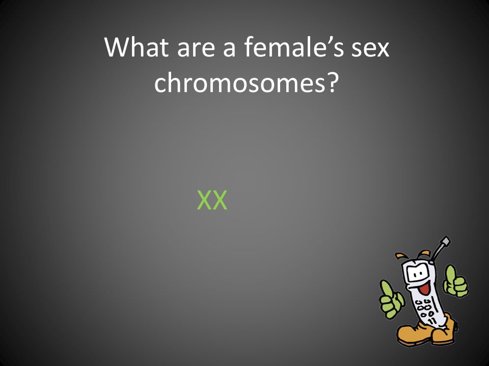 What are a female’s sex chromosomes