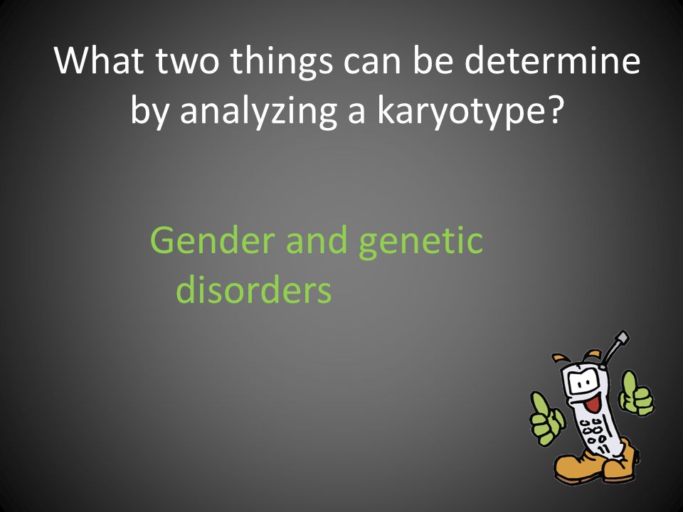 What two things can be determine by analyzing a karyotype