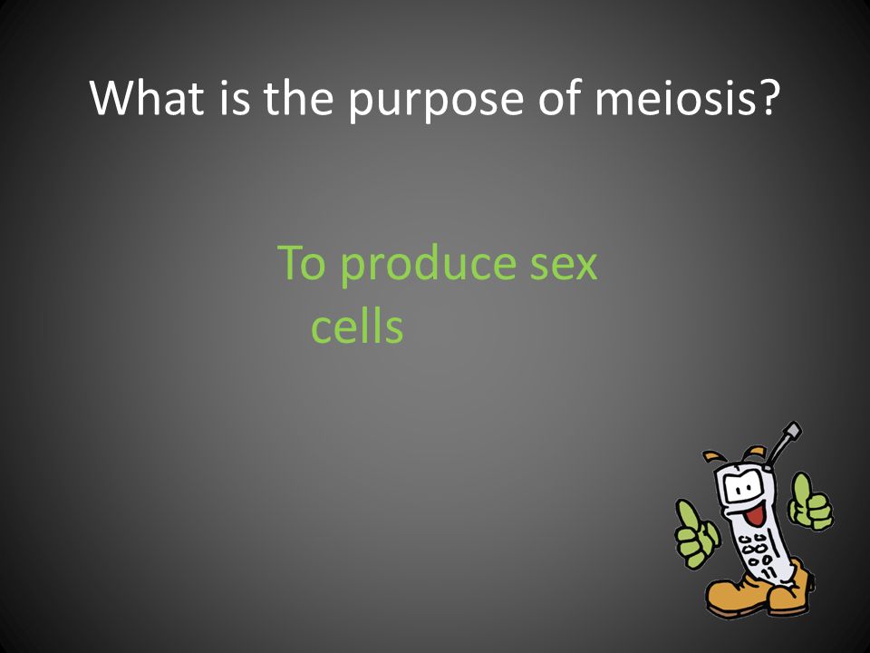 What is the purpose of meiosis