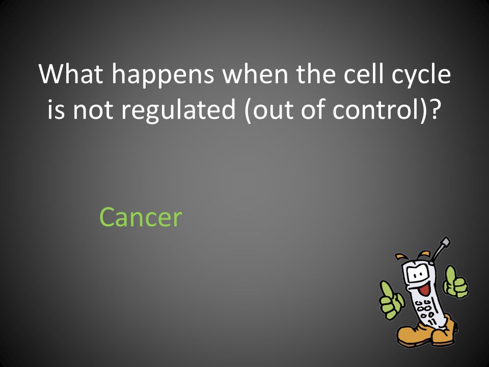 What happens when the cell cycle is not regulated (out of control)