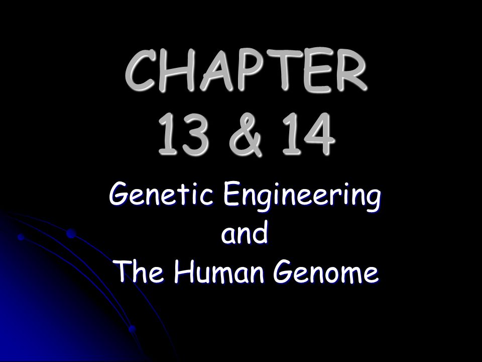 Genetic Engineering and The Human Genome