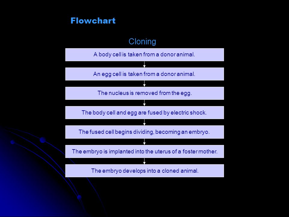 Flowchart Cloning A body cell is taken from a donor animal.