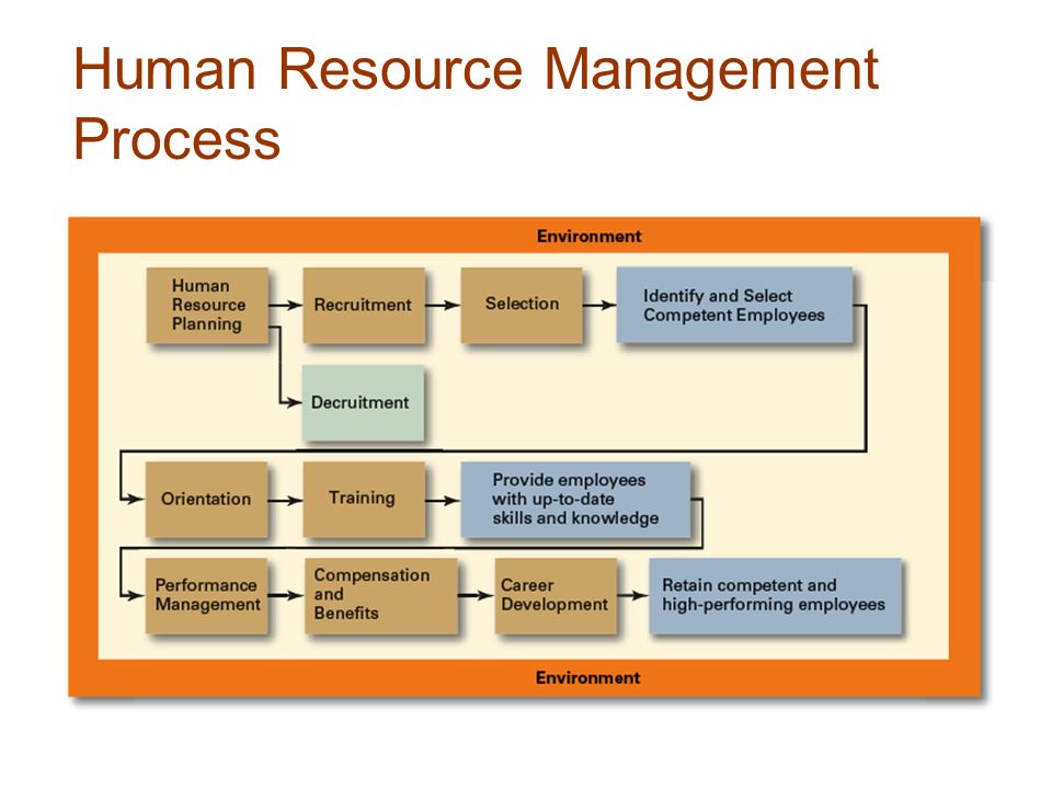 Human Resource Management Process
