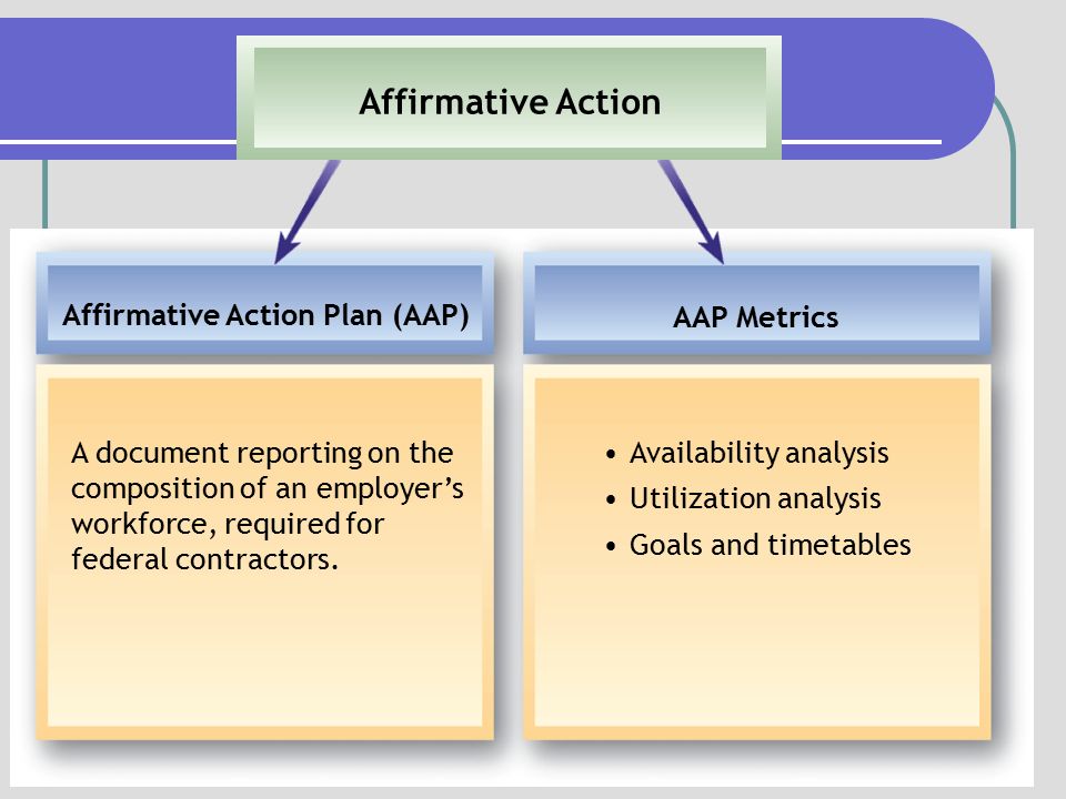 Affirmative Action Plan (AAP)