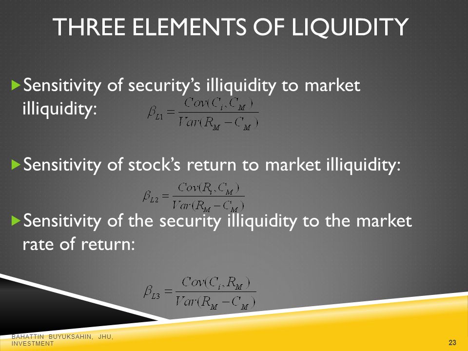 the capital asset pricing model