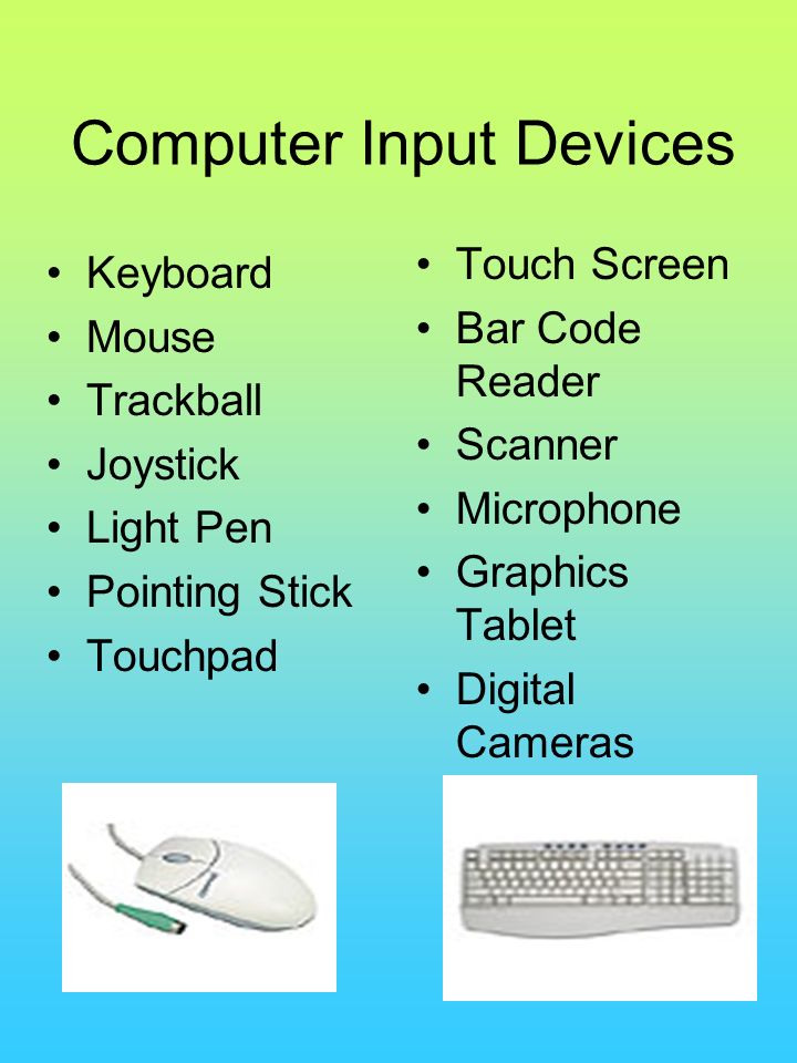 Computer Input Devices