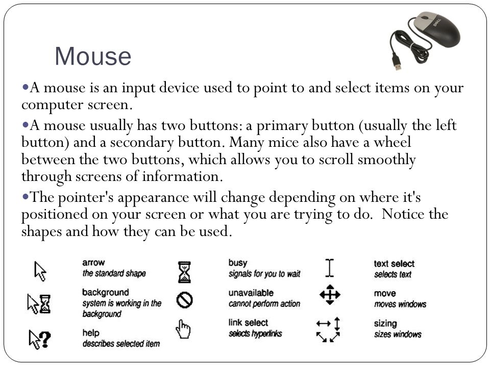 Mouse A mouse is an input device used to point to and select items on your computer screen.