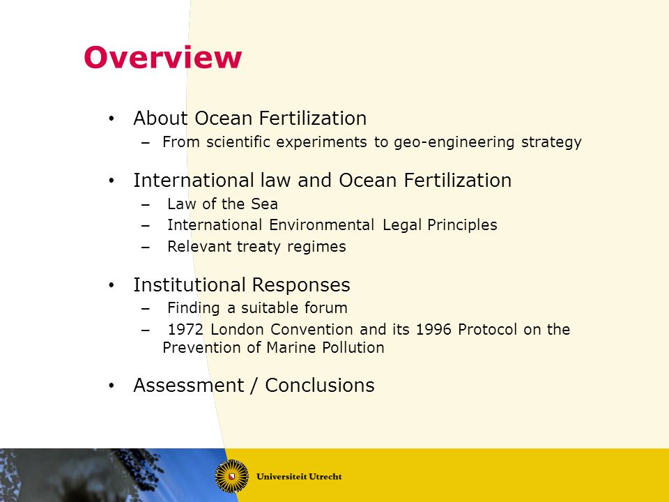 Overview About Ocean Fertilization