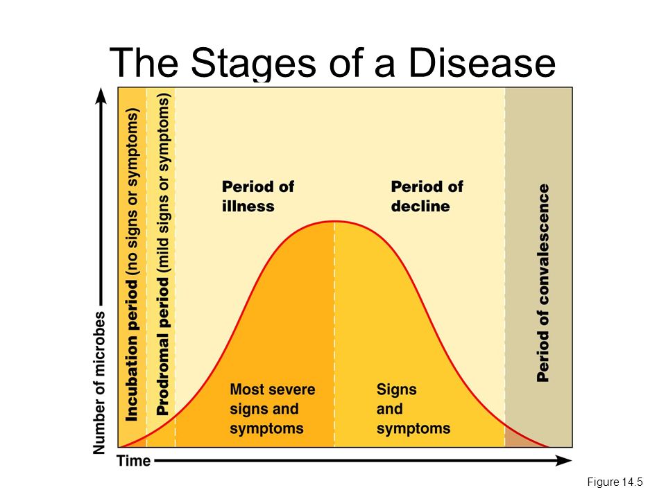 The Stages of a Disease Figure 14.5